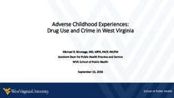 Adverse Childhood Experiences: Drug Use and Crime in West Virginia