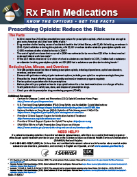 Prescribing Opioids: Reduce the Risk document screenshot