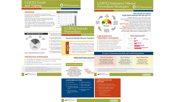 LGBTQ Fact Sheet screen shot