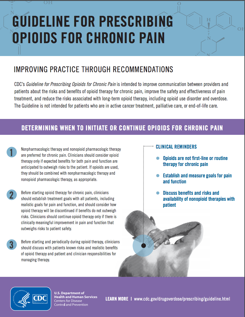 Guidelines for Prescribing Opioids for Chronic Pain report cover